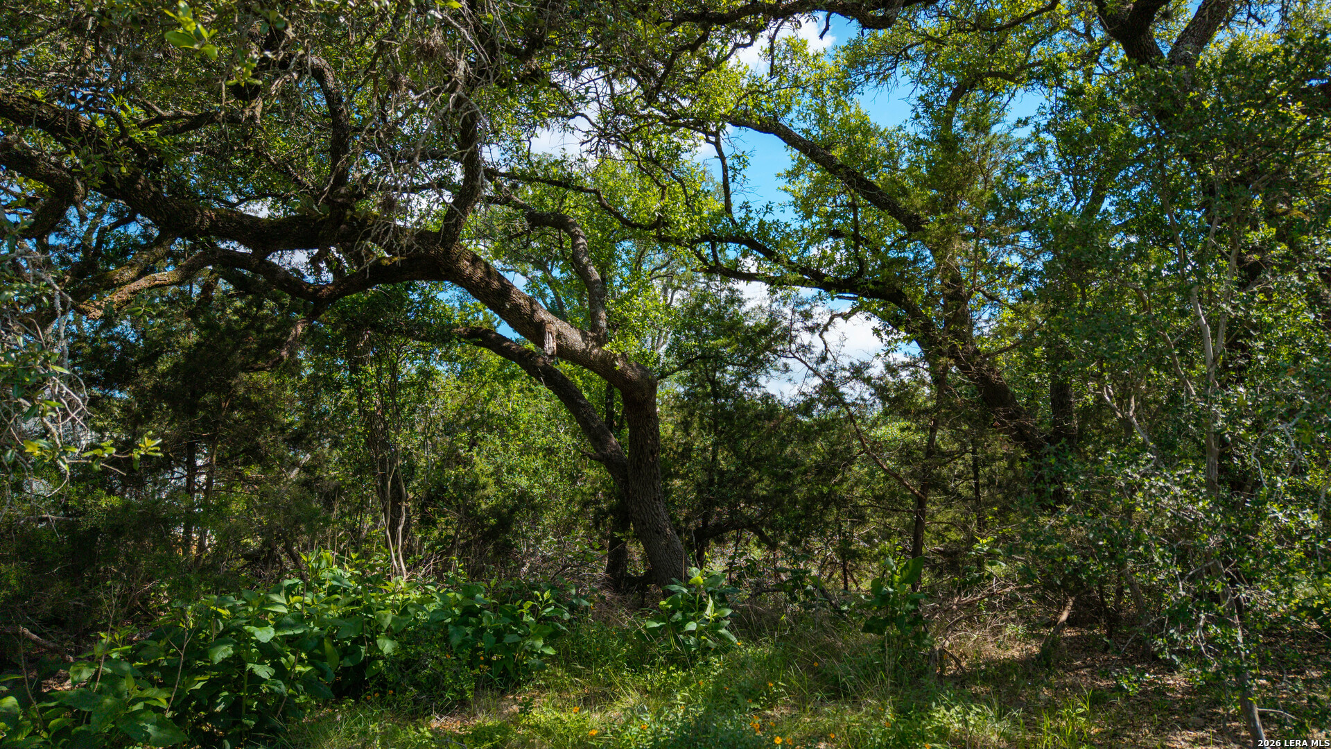 1109 Towhee New Braunfels TX 78132