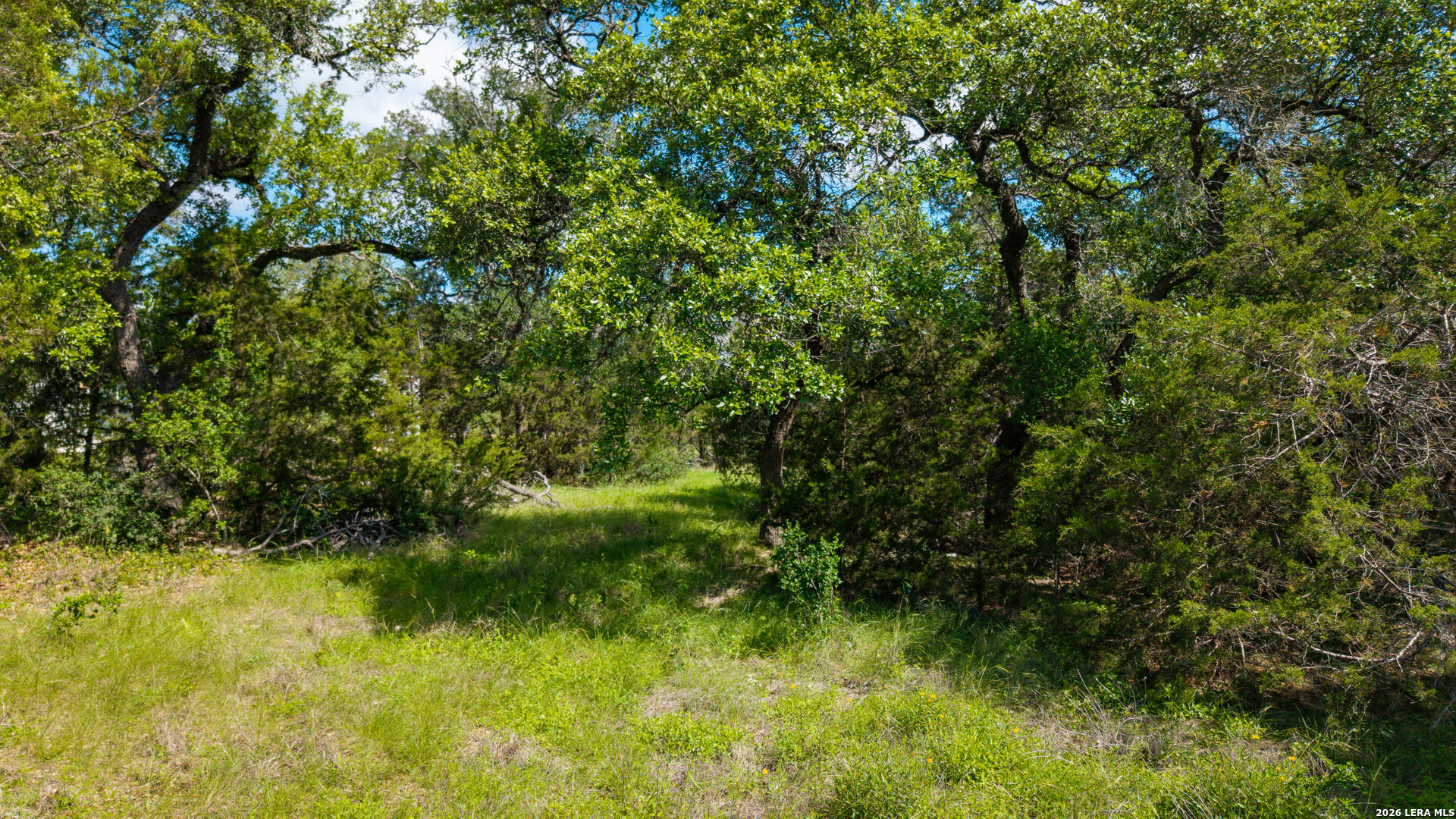 1109 Towhee New Braunfels TX 78132