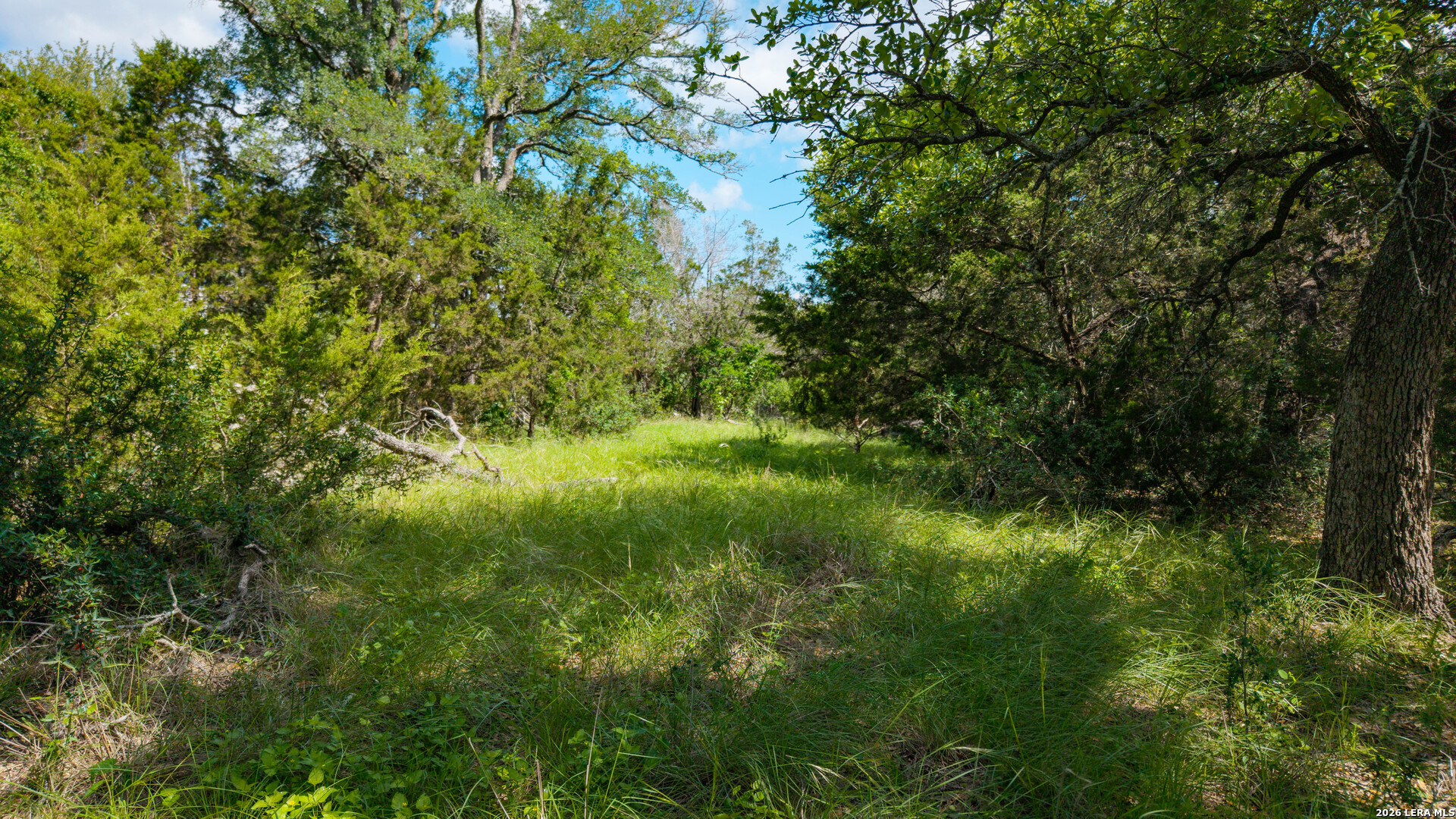 1109 Towhee New Braunfels TX 78132