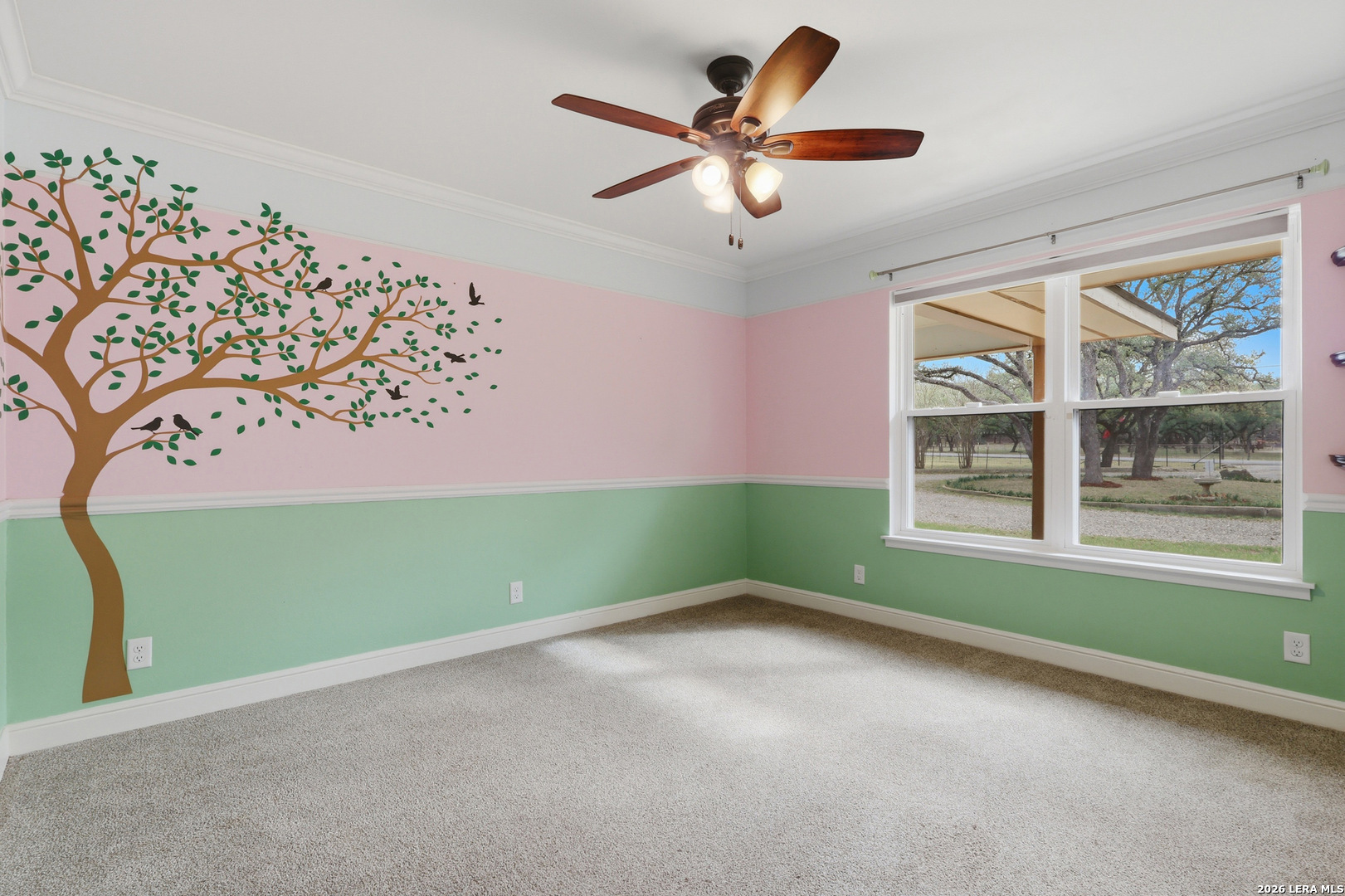 30511 Oakview Bulverde TX 78163
