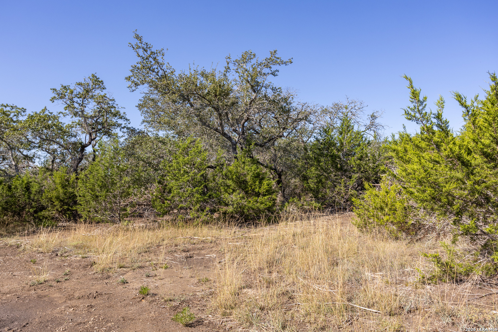 Block 1, Lot 11 Standing Tall Boerne TX 78006