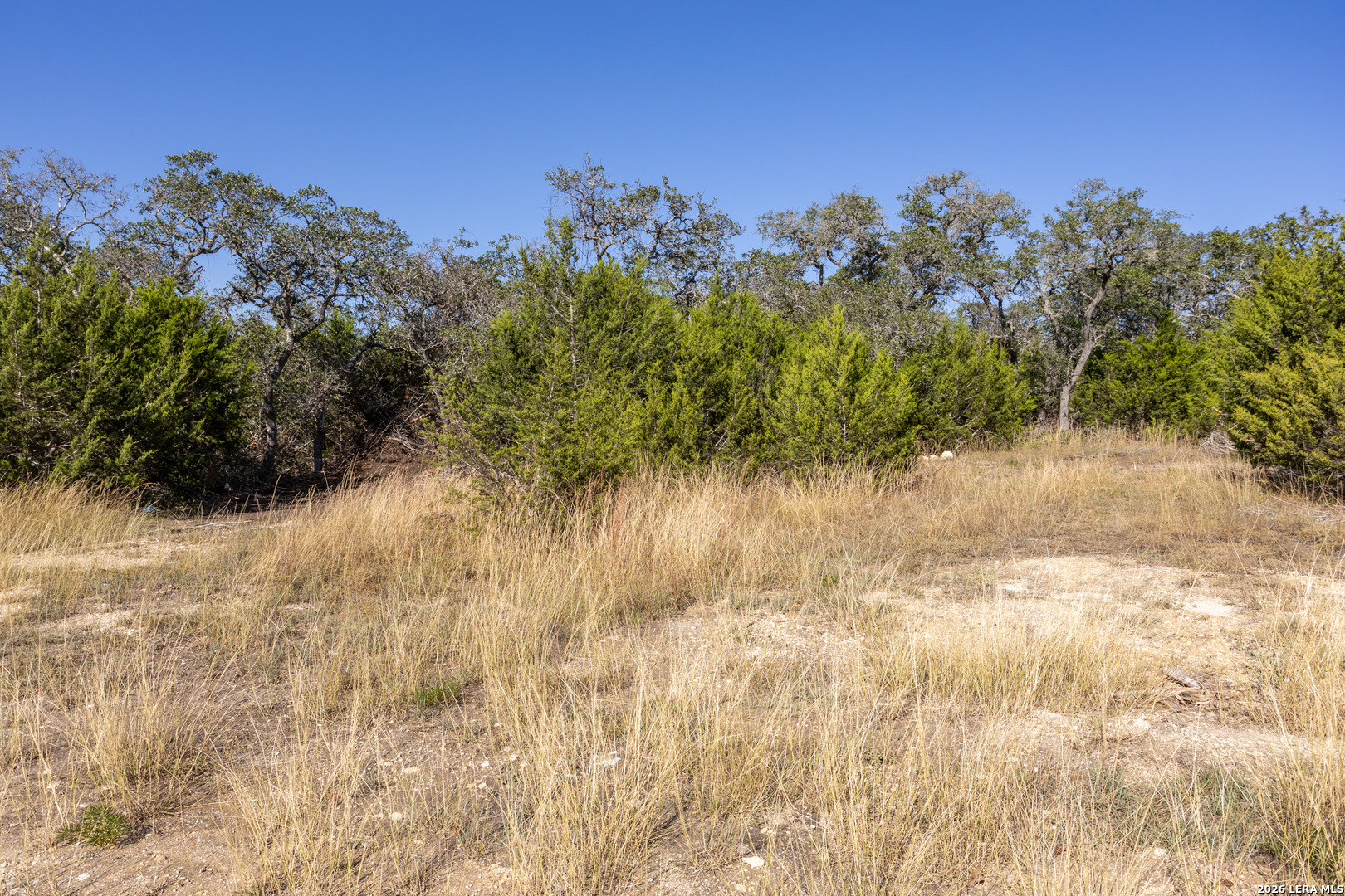 Block 1, Lot 11 Standing Tall Boerne TX 78006