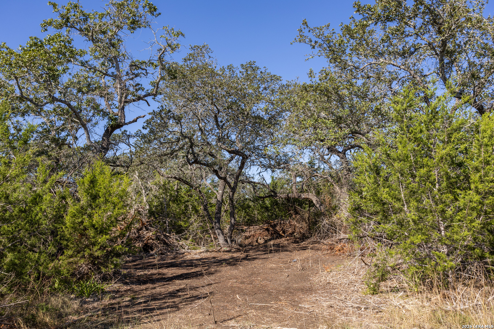 Block 1, Lot 11 Standing Tall Boerne TX 78006