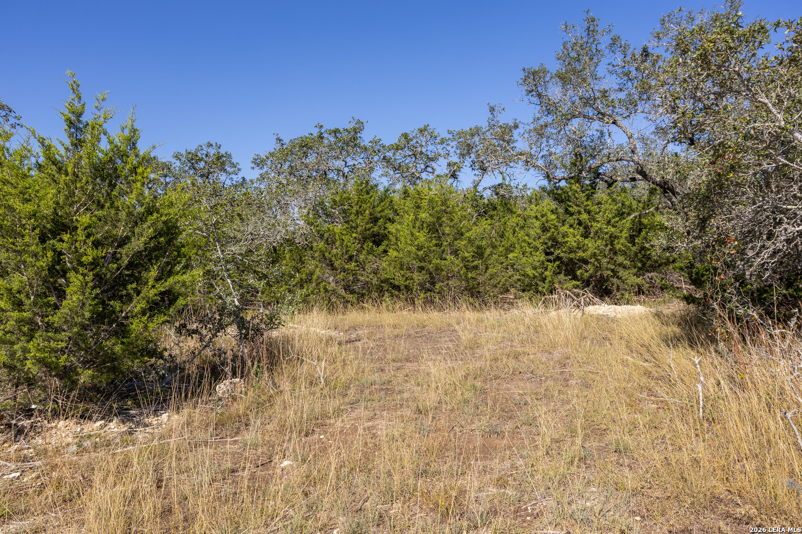 Block 1, Lot 11 Standing Tall Boerne TX 78006