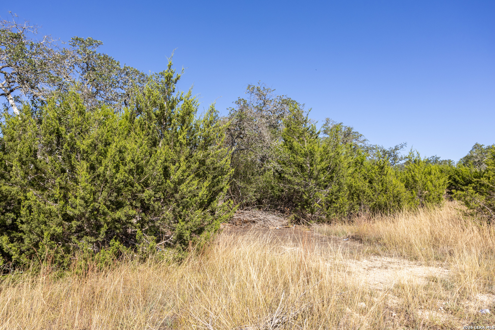 Block 1, Lot 11 Standing Tall Boerne TX 78006
