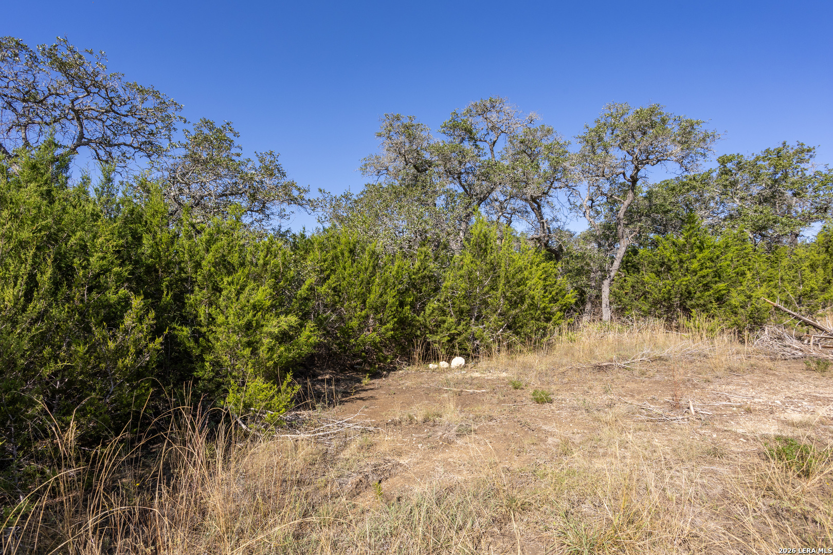 Block 1, Lot 11 Standing Tall Boerne TX 78006