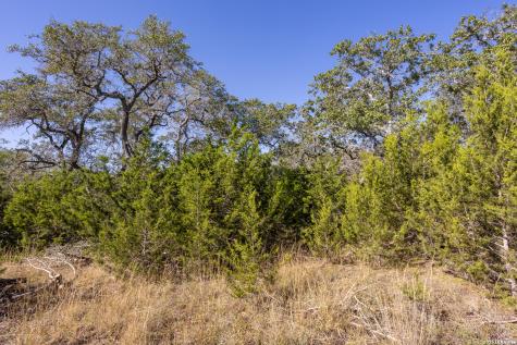 Block 1, Lot 11 Standing Tall Boerne TX 78006