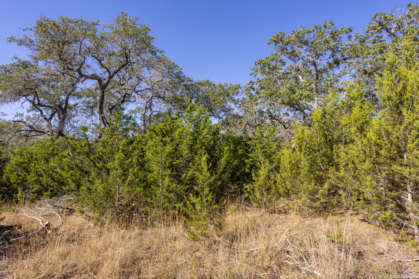 Block 1, Lot 11 Standing Tall Boerne TX 78006