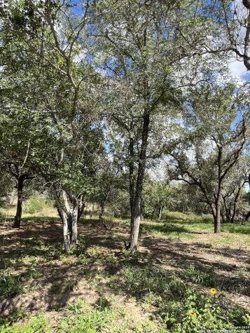 Lot I 497 County Road 124 Floresville TX 78112