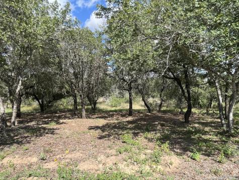 Lot I 497 County Road 124 Floresville TX 78112