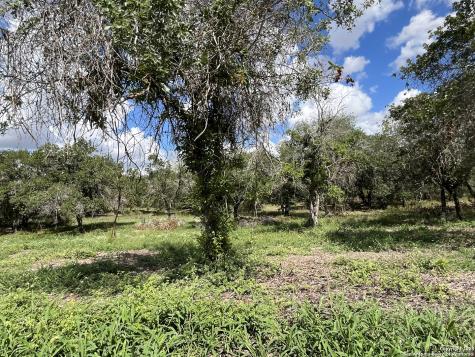 Lot I 497 County Road 124 Floresville TX 78112