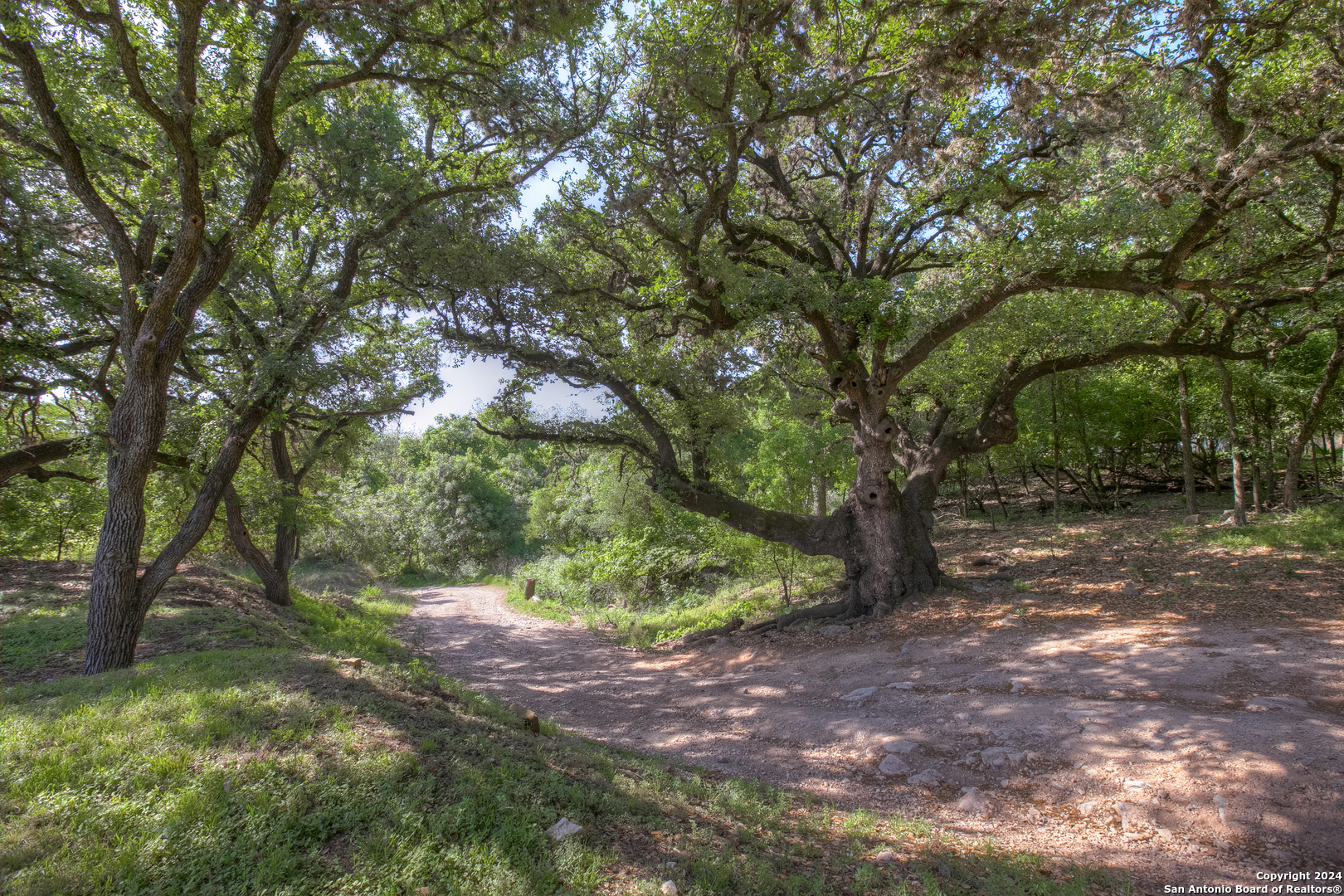 0 Ervendberg Avenue New Braunfels TX 78130