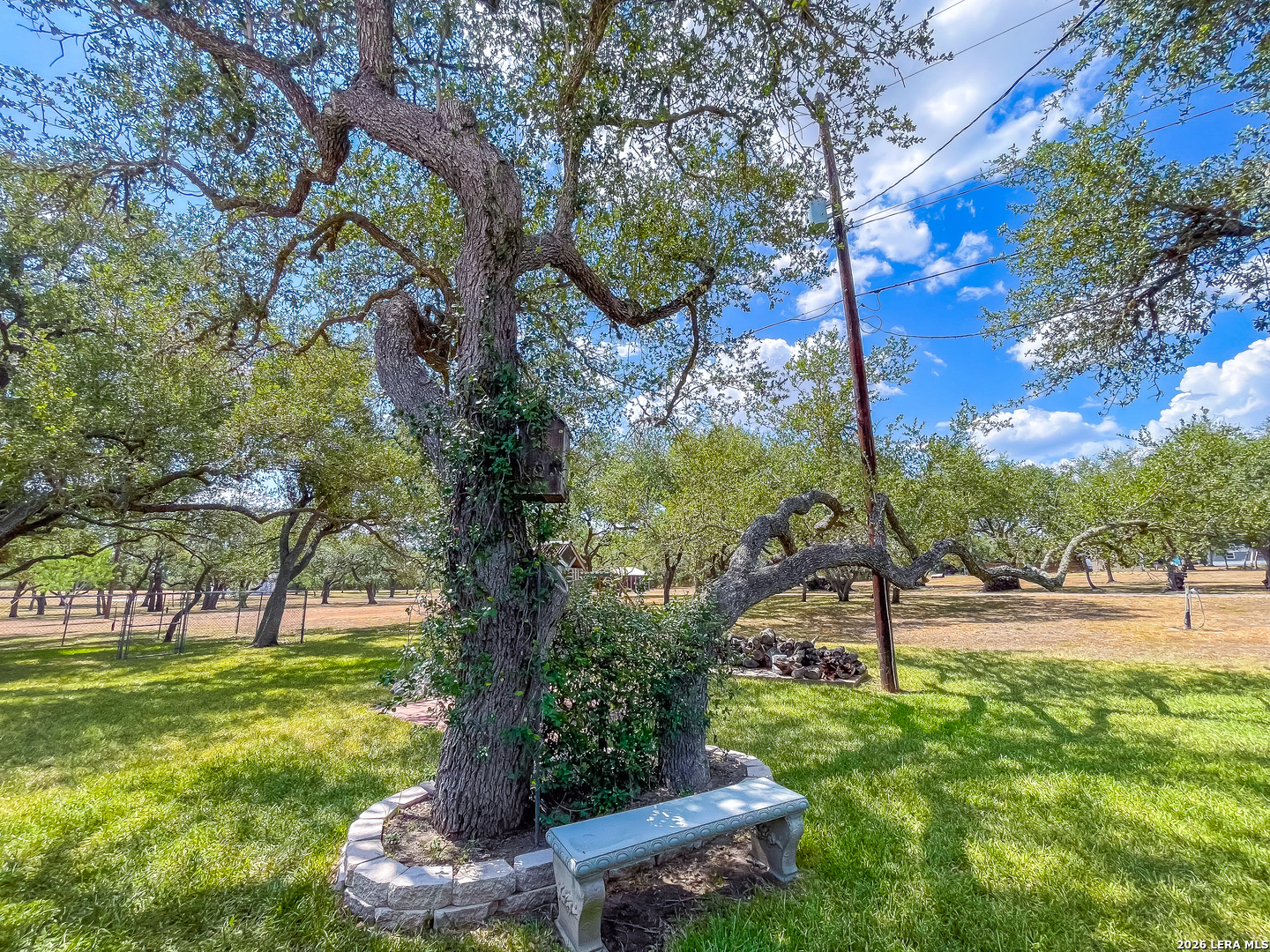 2815 Orange Lane Beeville TX 78102