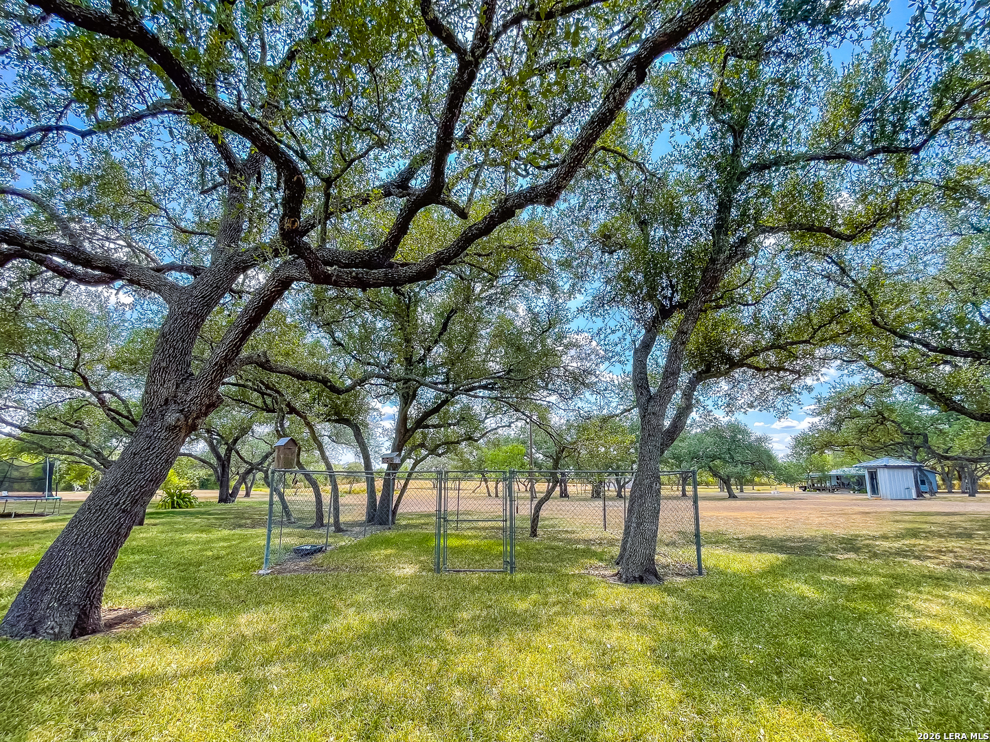 2815 Orange Lane Beeville TX 78102