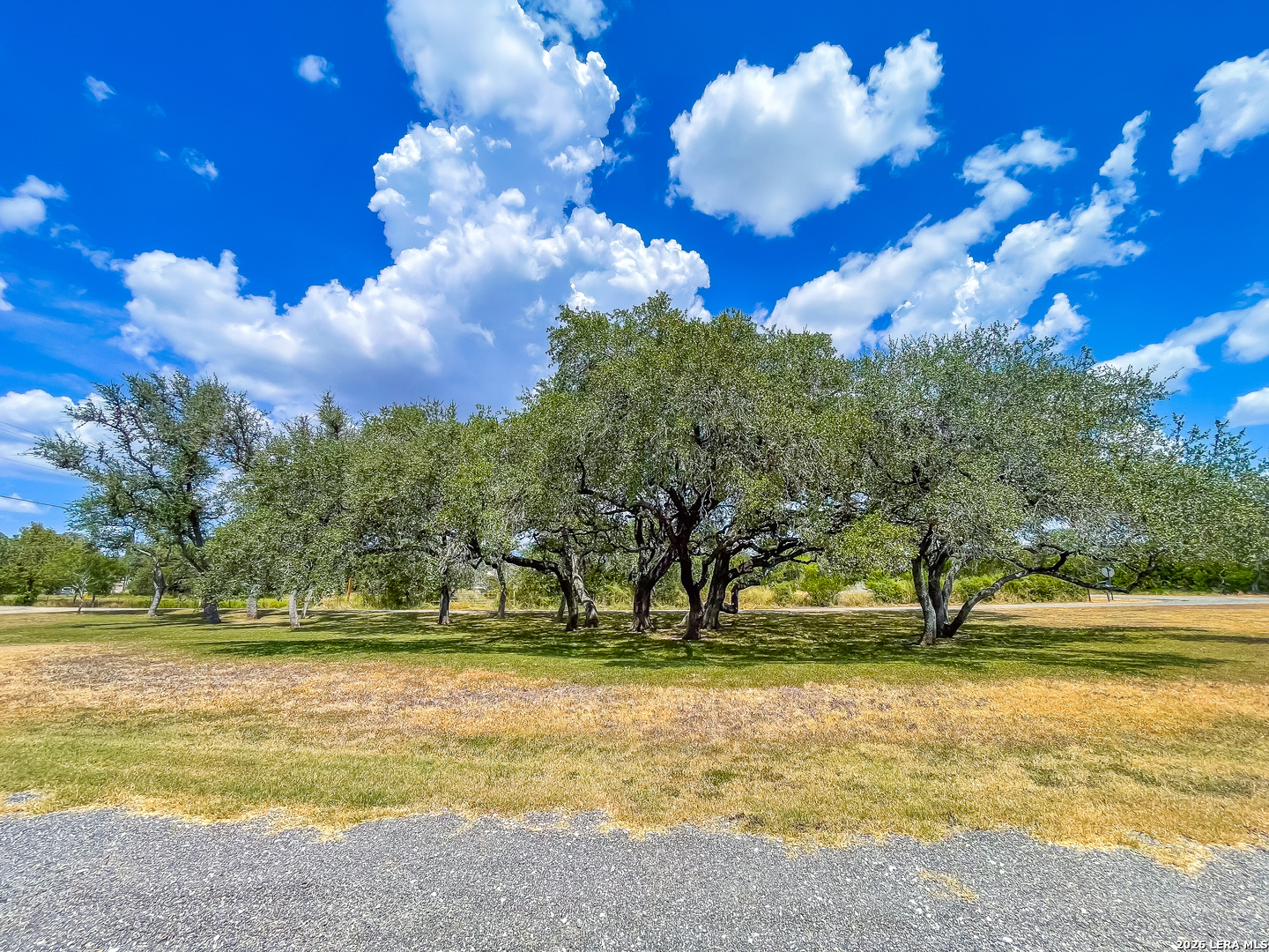 2815 Orange Lane Beeville TX 78102