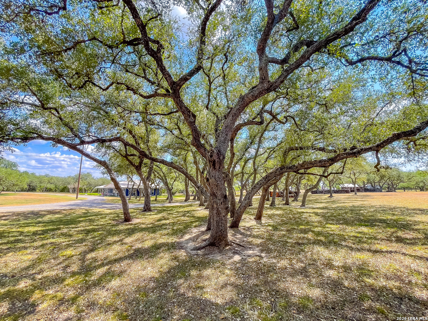 2815 Orange Lane Beeville TX 78102
