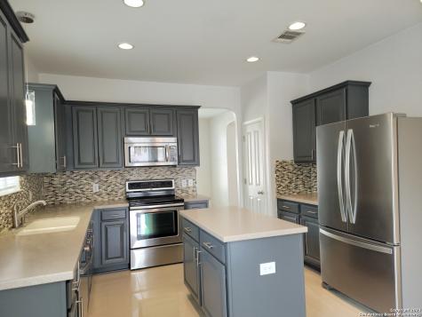 25630 Sago Palm San Antonio TX 78261