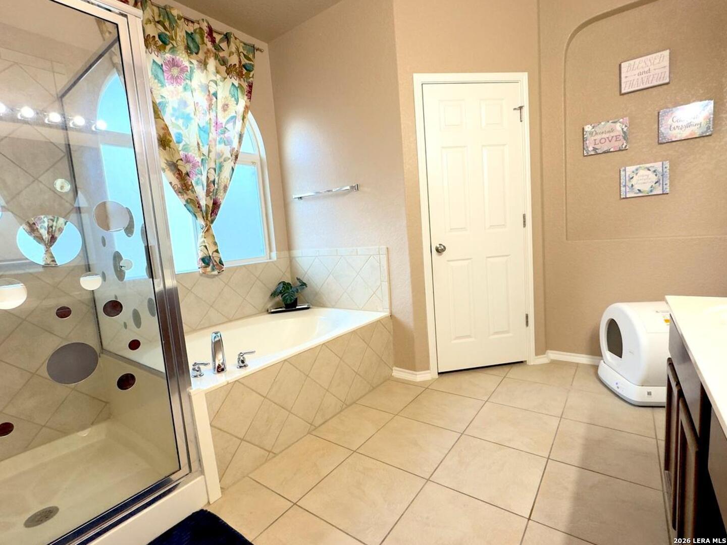 1023 Orchid Grove San Antonio TX 78245