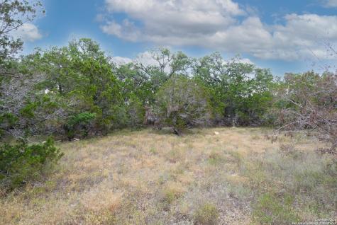 1622 Paradise Parkway Canyon Lake TX 78133