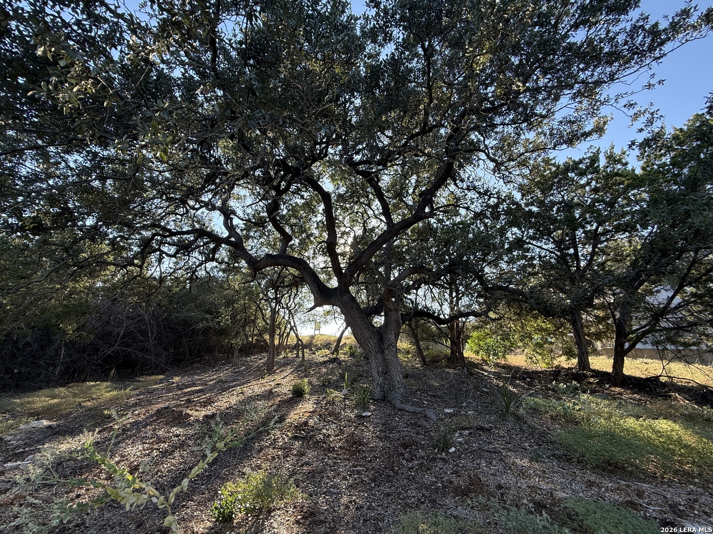 8004 Arbor Village Boerne TX 78015