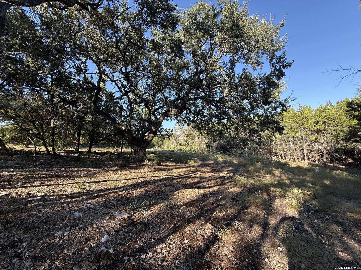 8004 Arbor Village Boerne TX 78015