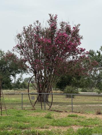 1939 County Road 134 Runge TX 78151