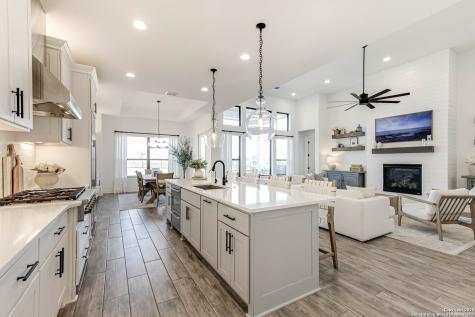 23414 Grande Vista San Antonio TX 78261