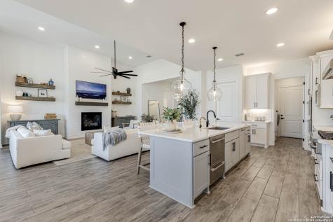 23414 Grande Vista San Antonio TX 78261