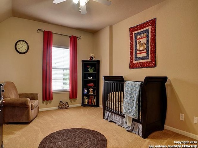 830 Tiger Lily San Antonio TX 78260