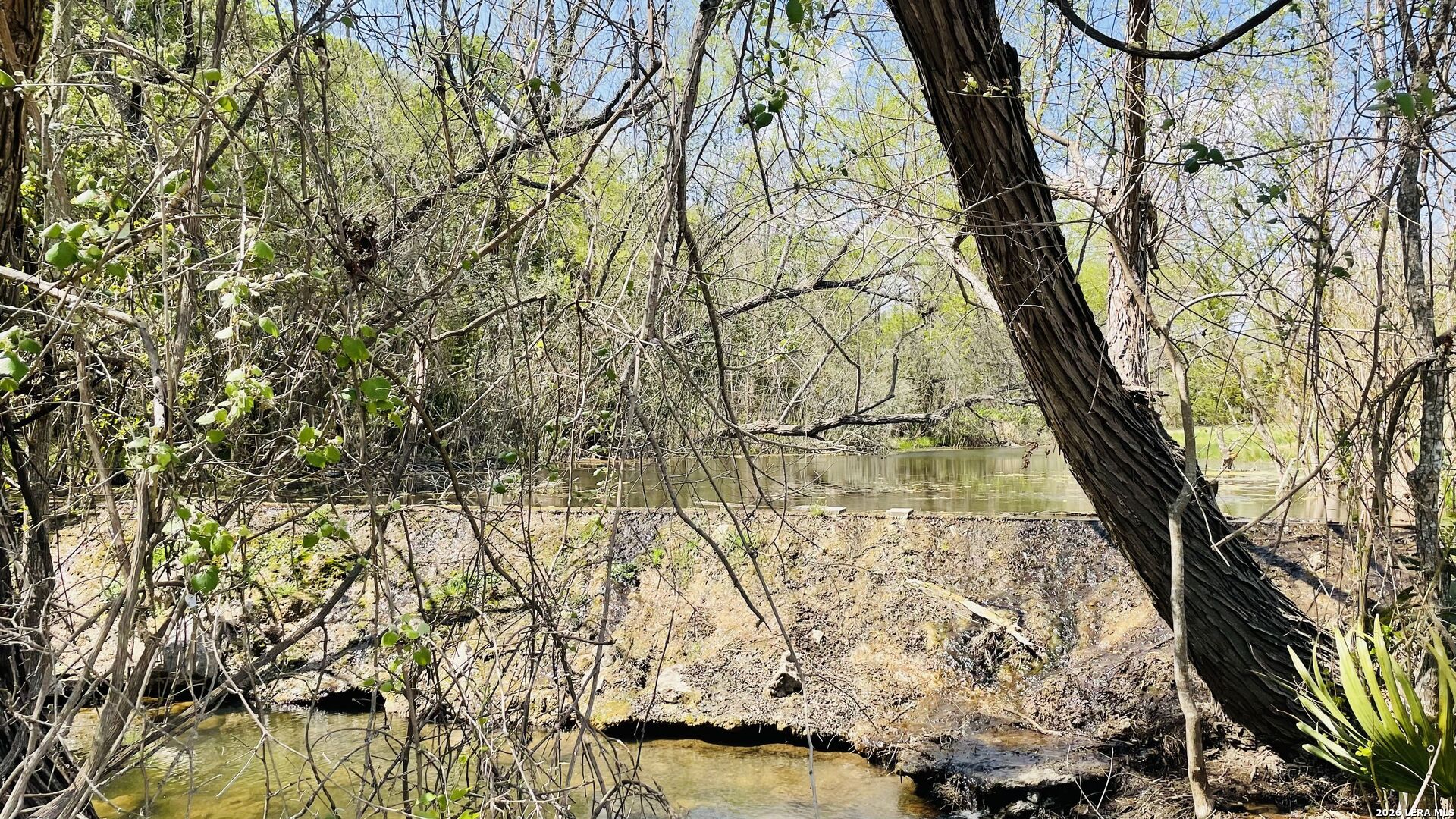 252 River Cliff Spring Branch TX 78070