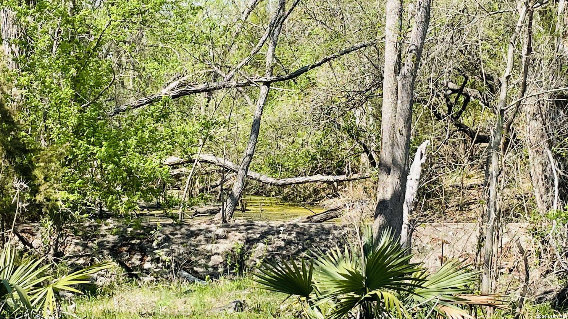 252 River Cliff Spring Branch TX 78070
