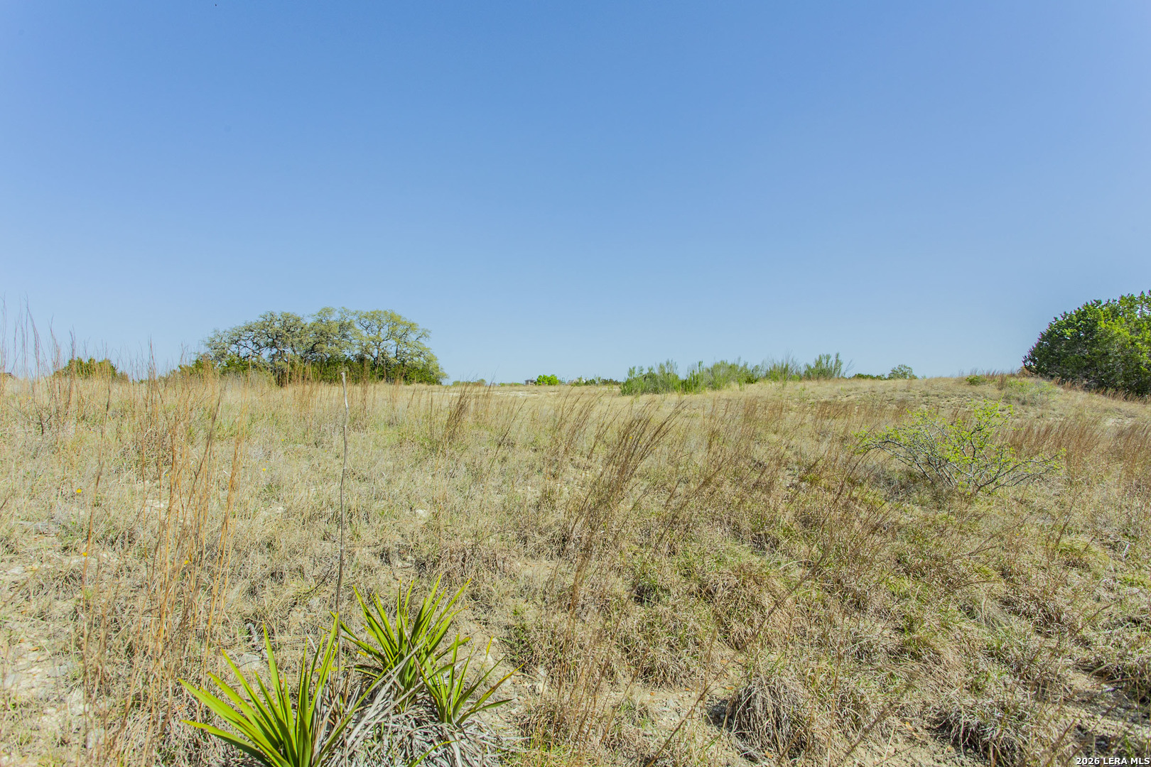 252 River Cliff Spring Branch TX 78070