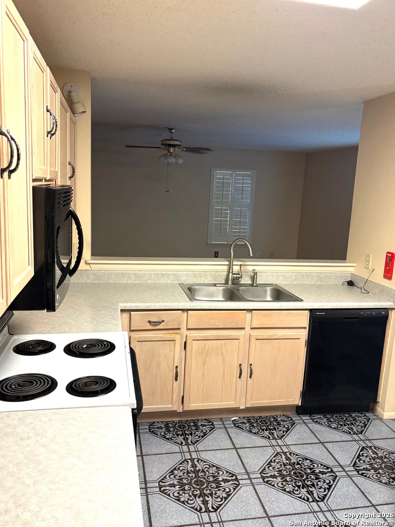 7501 Avery Live Oak TX 78233