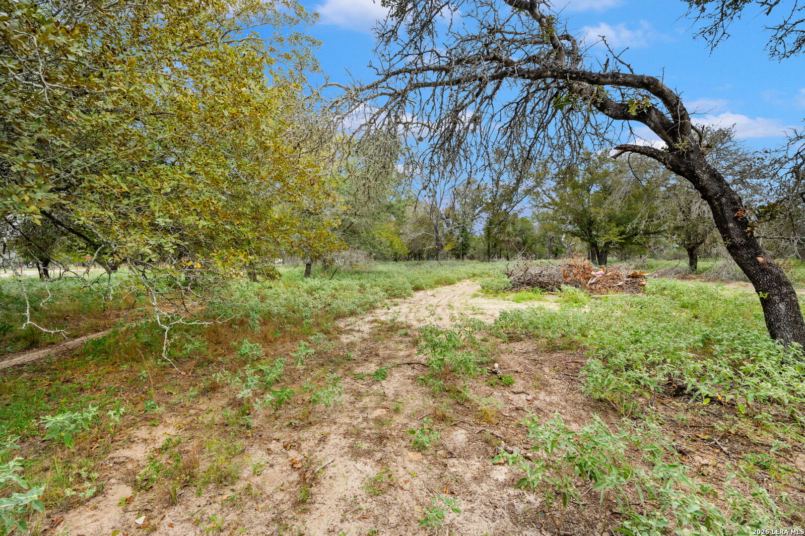 1403 Meadow Glen Adkins TX 78101