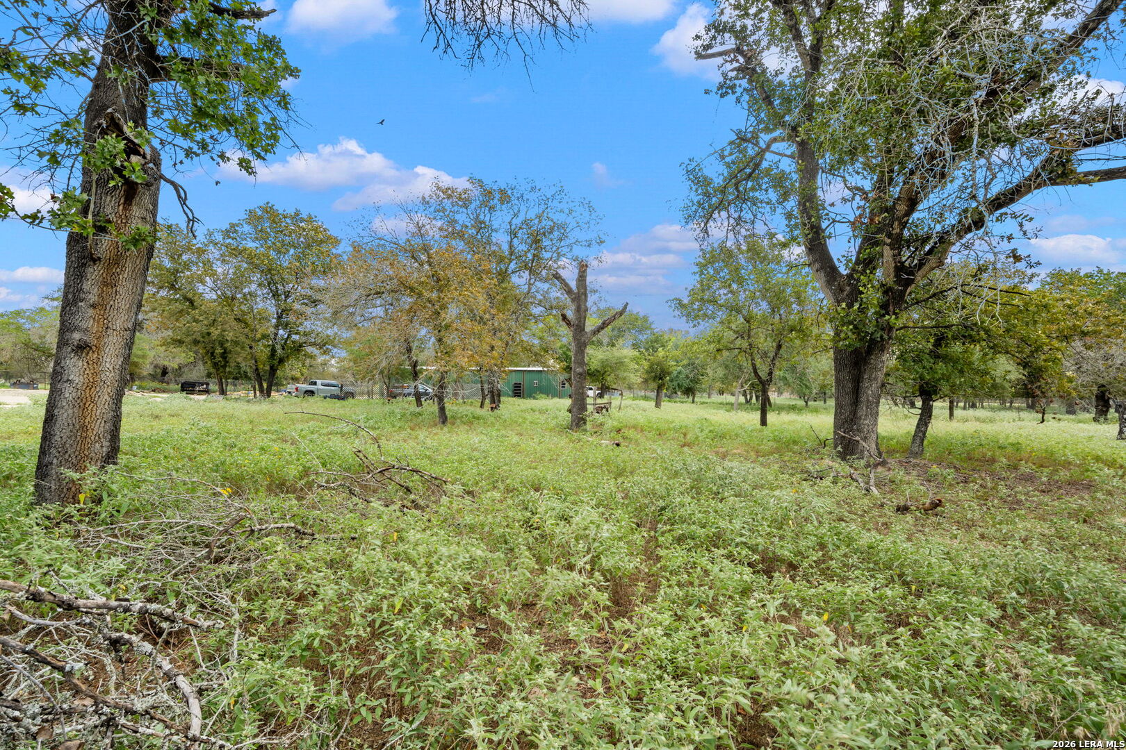 1403 Meadow Glen Adkins TX 78101