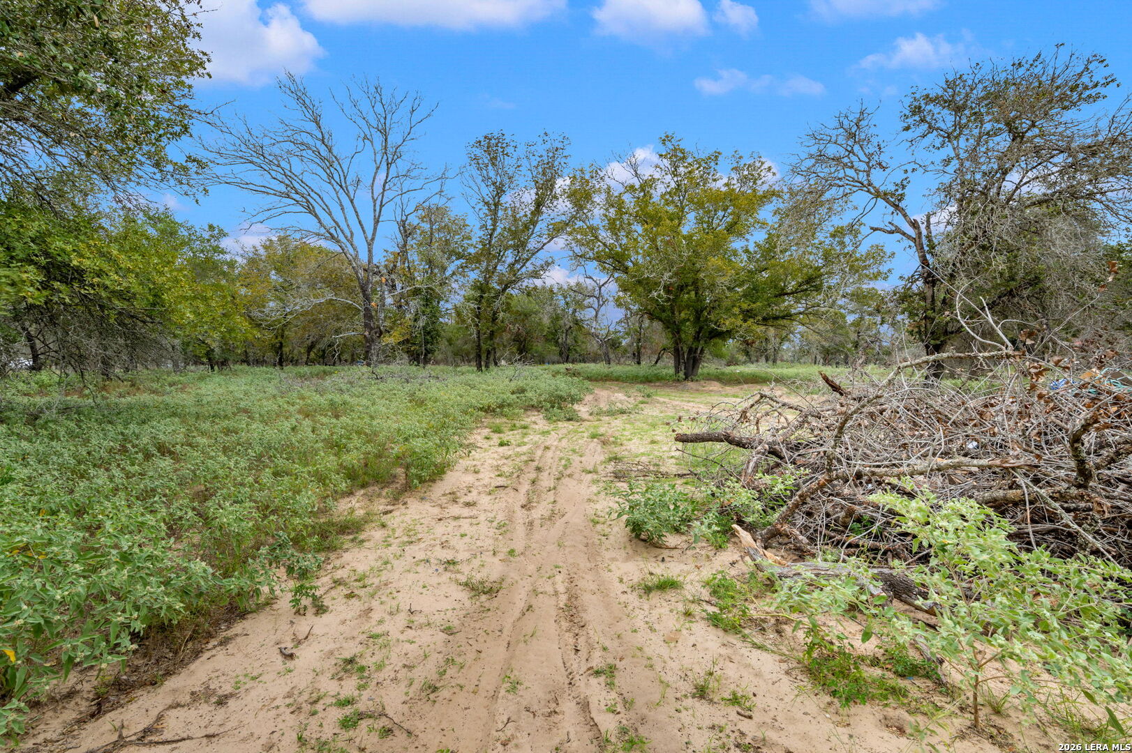 1403 Meadow Glen Adkins TX 78101