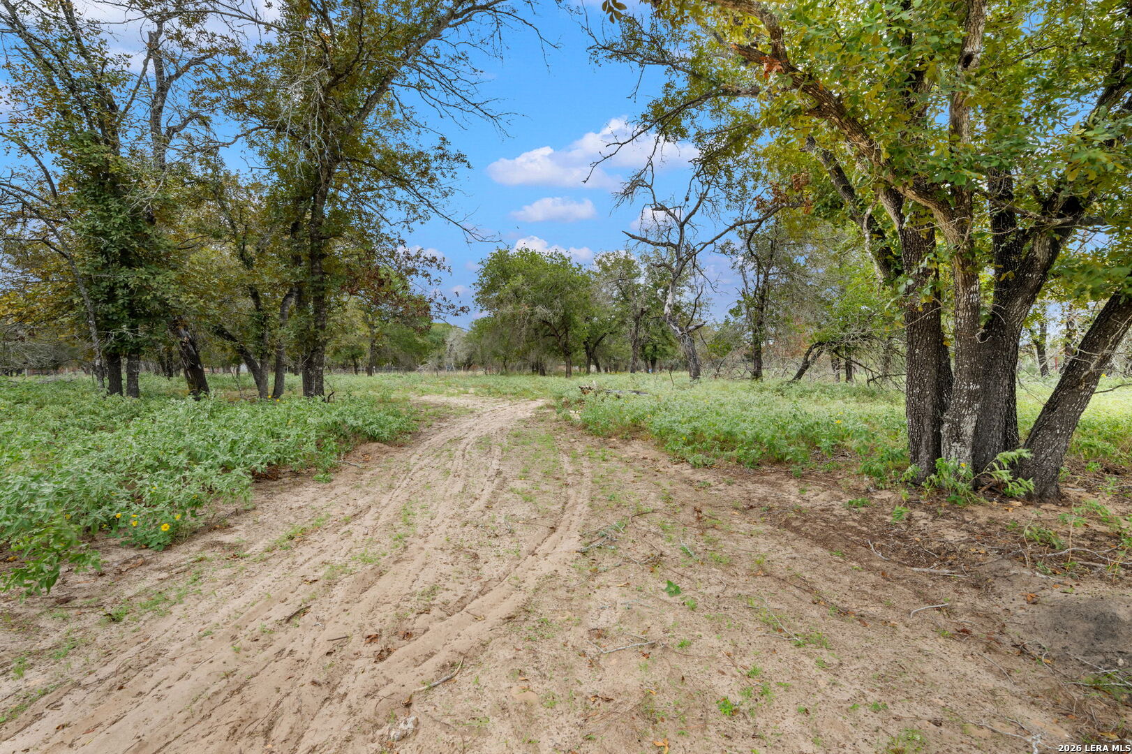 1403 Meadow Glen Adkins TX 78101