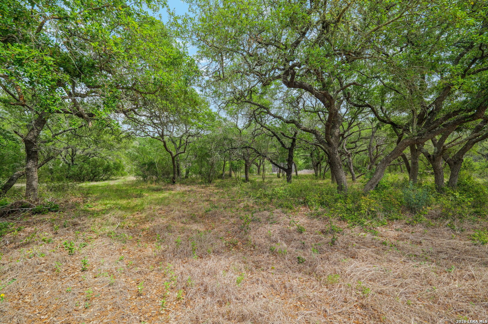138 County Road 2765 Mico TX 78056