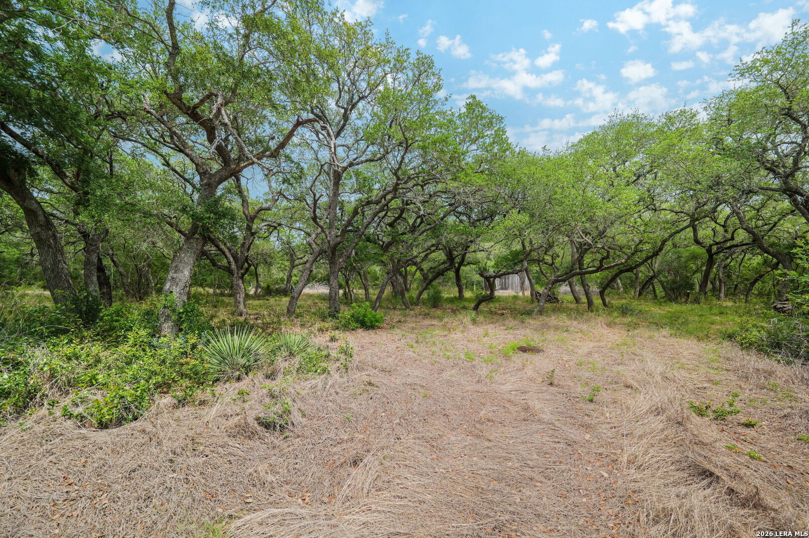 138 County Road 2765 Mico TX 78056