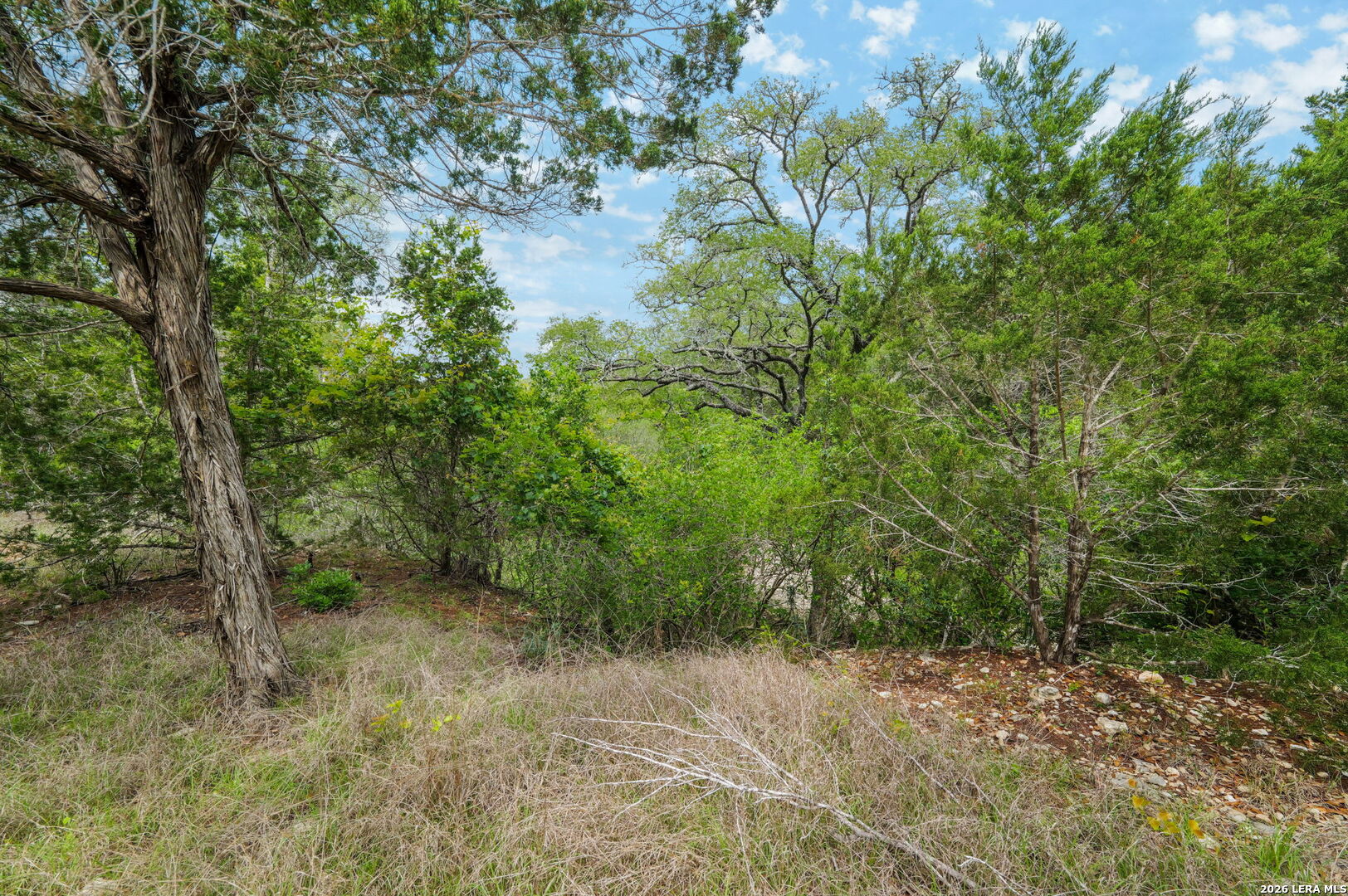 138 County Road 2765 Mico TX 78056