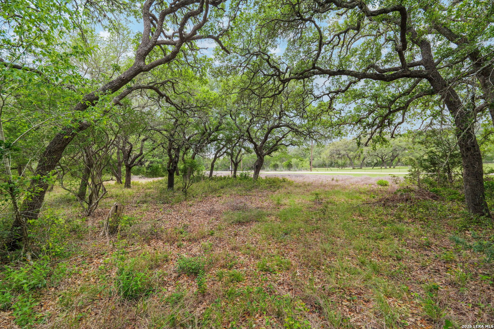 138 County Road 2765 Mico TX 78056