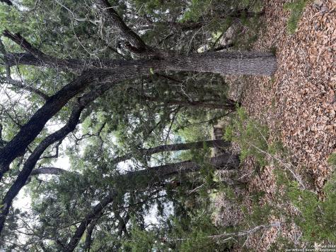 737 Caballo Trail Canyon Lake TX 78133