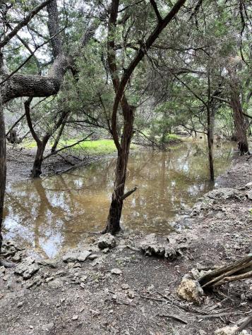1836 Lookout Forest San Antonio TX 78260