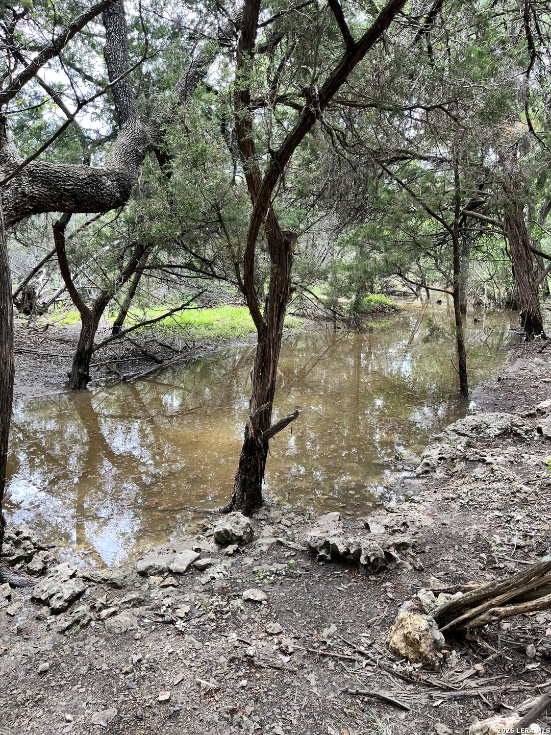 1836 Lookout Forest San Antonio TX 78260