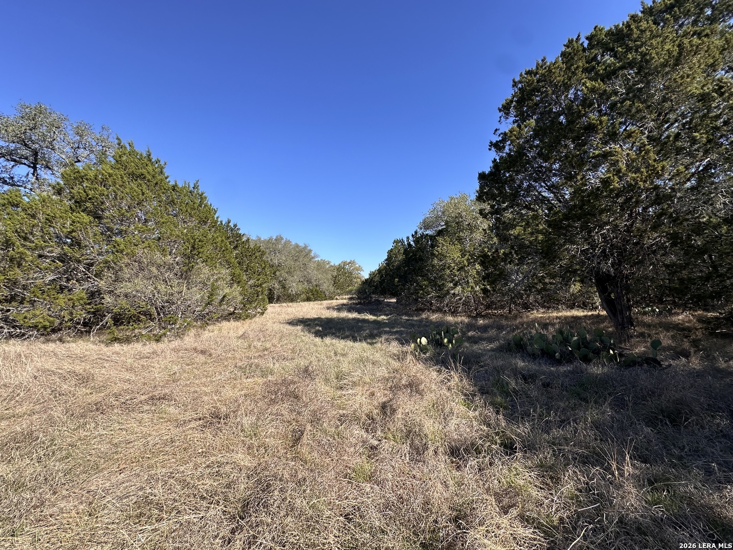 885 Brushy Creek Lakehills TX 78063