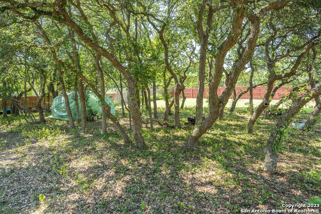 9634 Jason Bend Helotes TX 78023