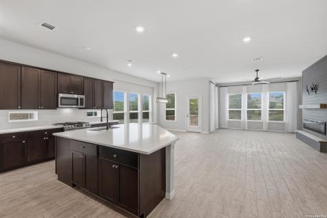 32125 Cardamom Way Bulverde TX 78163