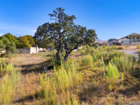 11 Dominion Meadows San Antonio TX 78257