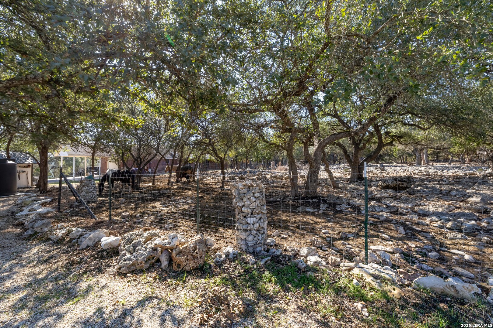 519 Eden Ranch Canyon Lake TX 78133