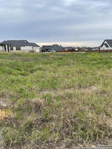 116 Bayberry Court La Vernia TX 78121